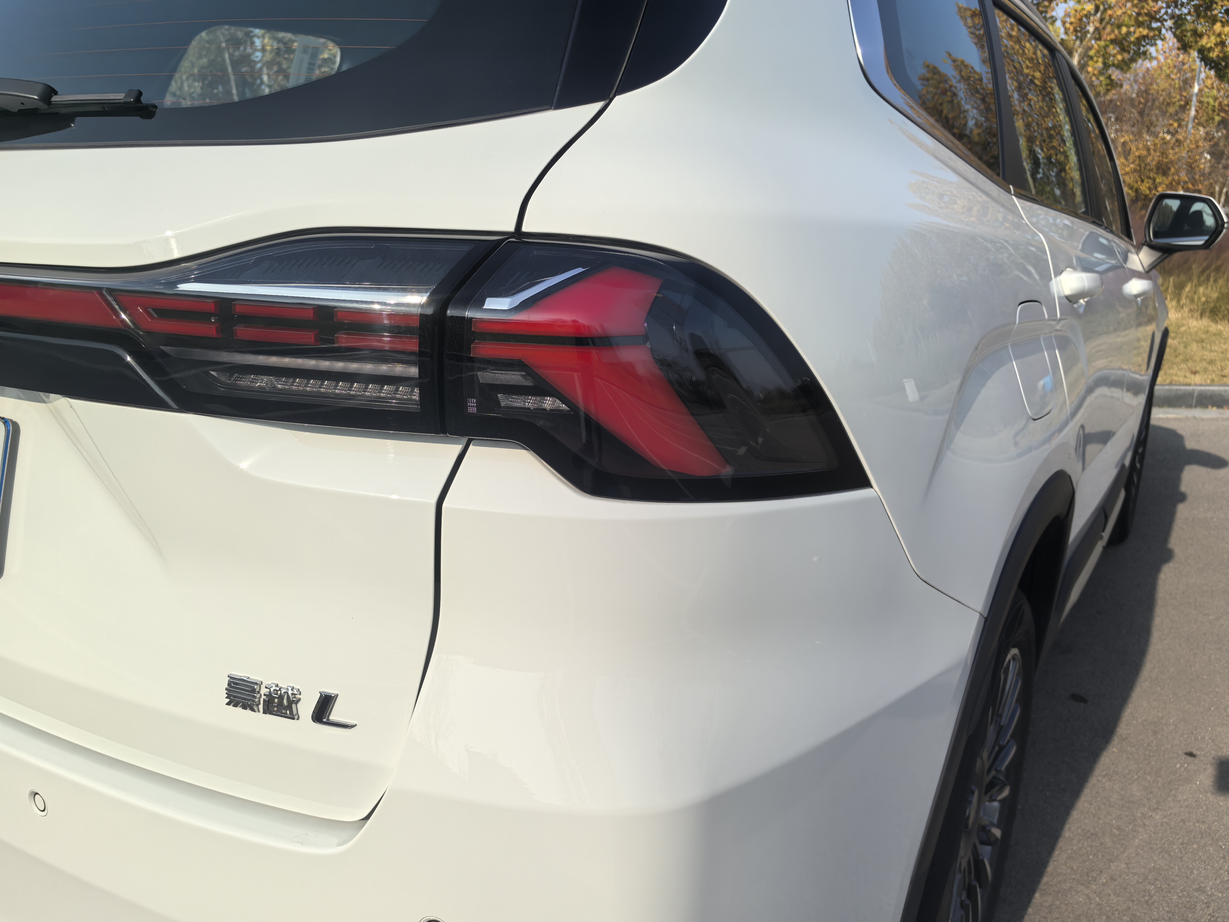 GEELY Okavango L 2024 immagine di auto #21