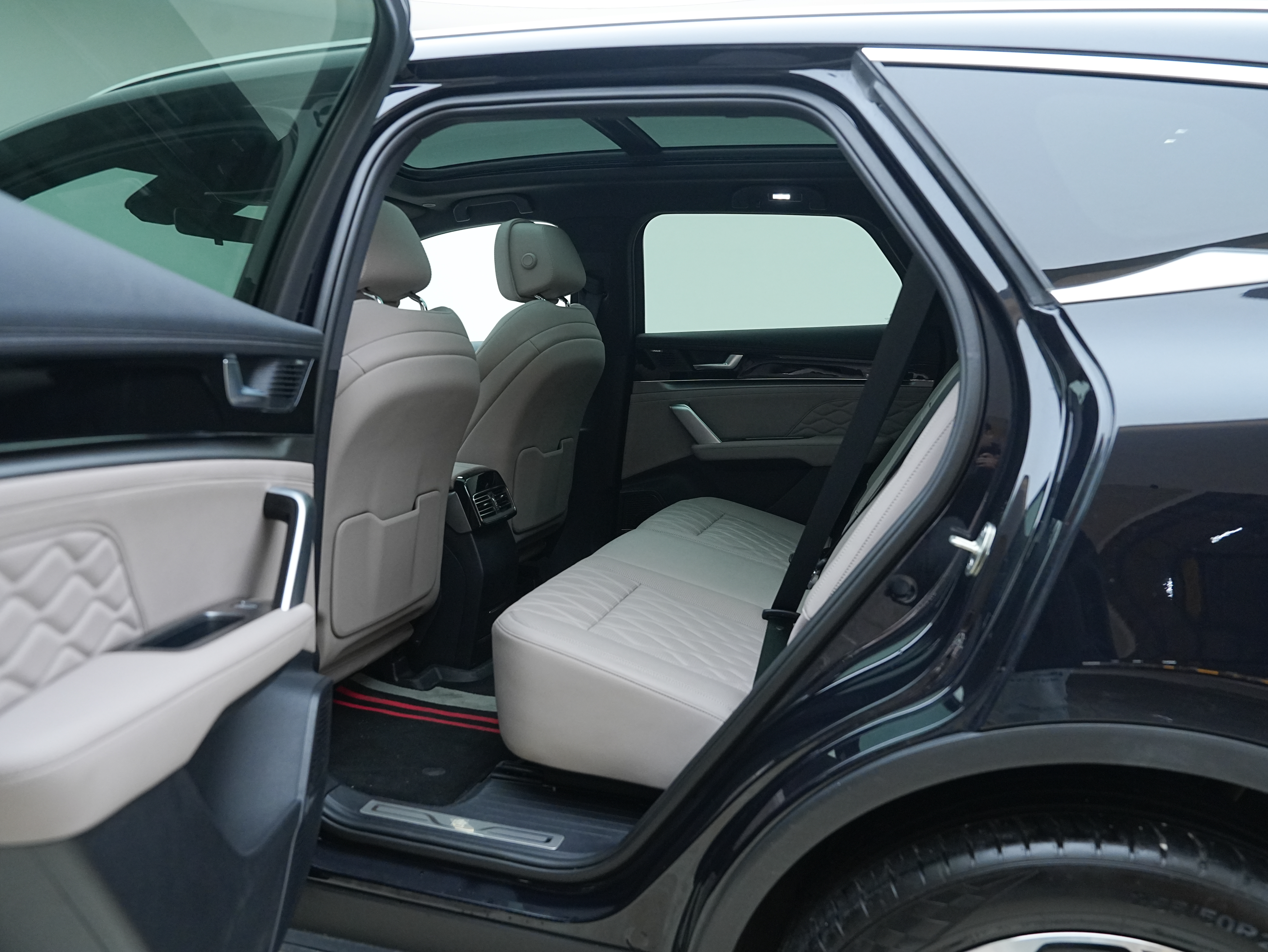 BYD Tang New Energy 2025 car image #21