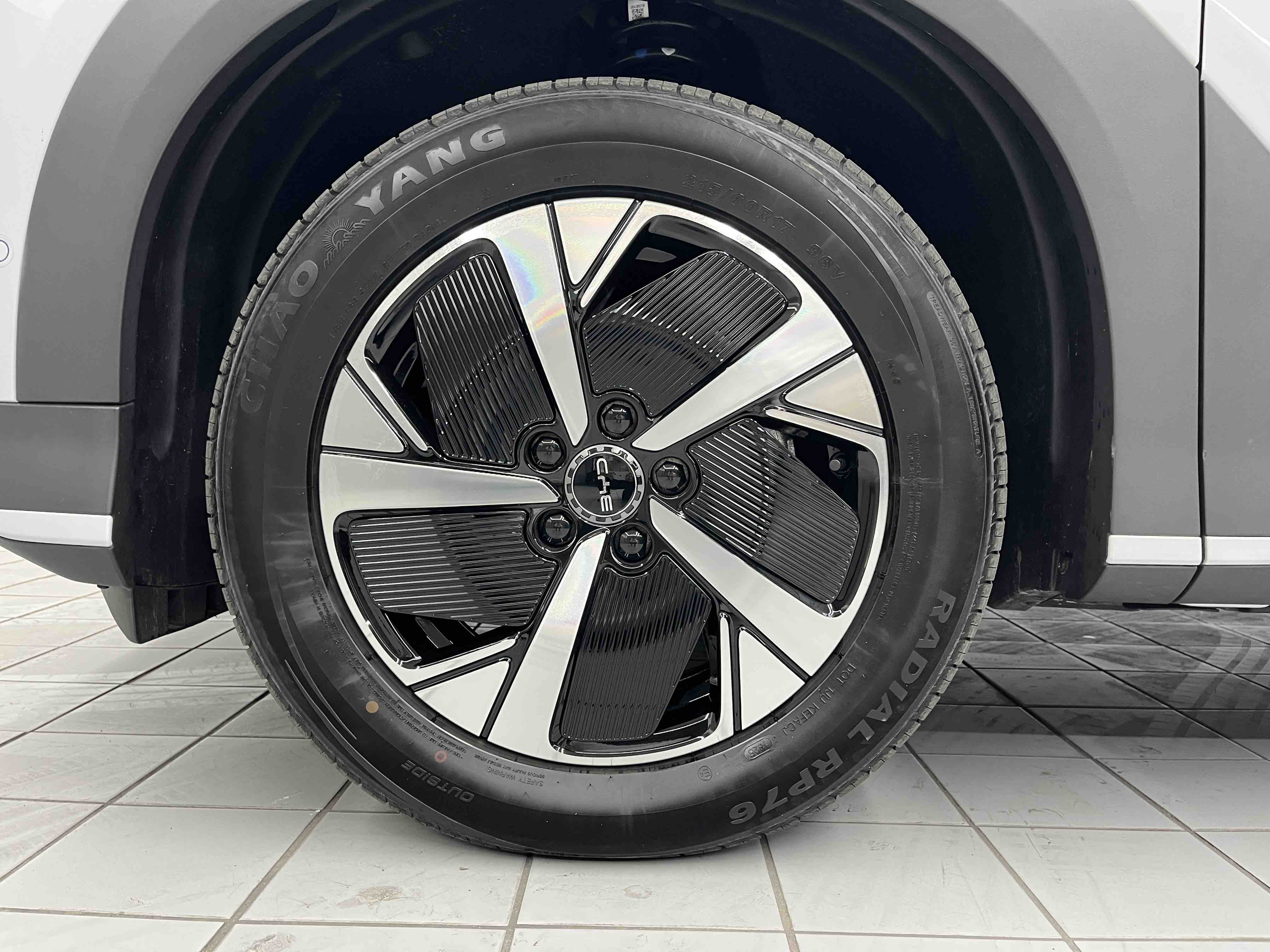 BYD Sea Lion 05 EV 2025 car image #21