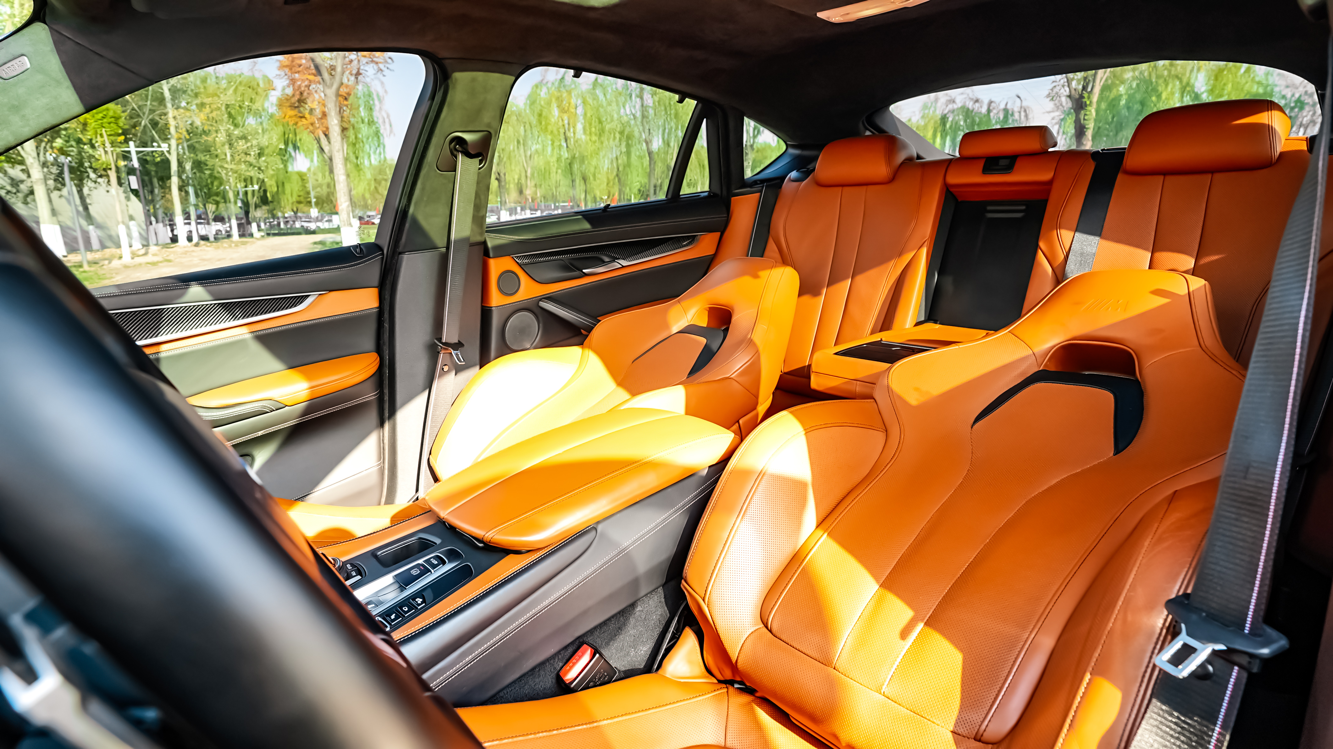 BMW X6 M 2016 car image #21