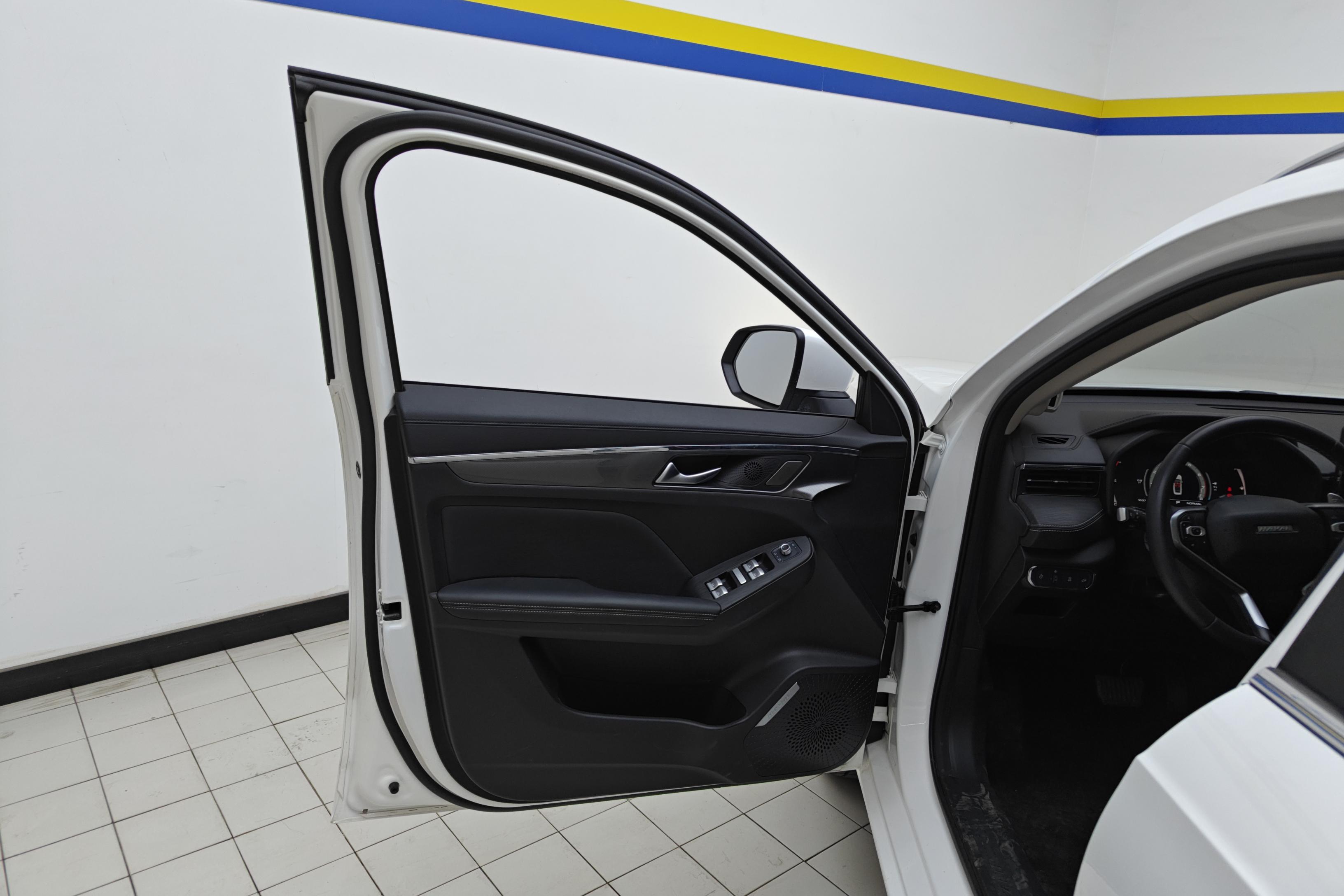 Haval Jolion 2021 immagine di auto #21