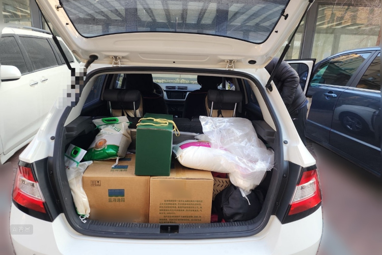 Skoda Fabia 2017 immagine di auto #21