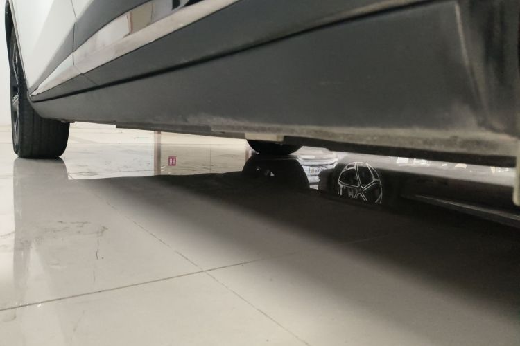 Neta L 2024 imagen de coche #21