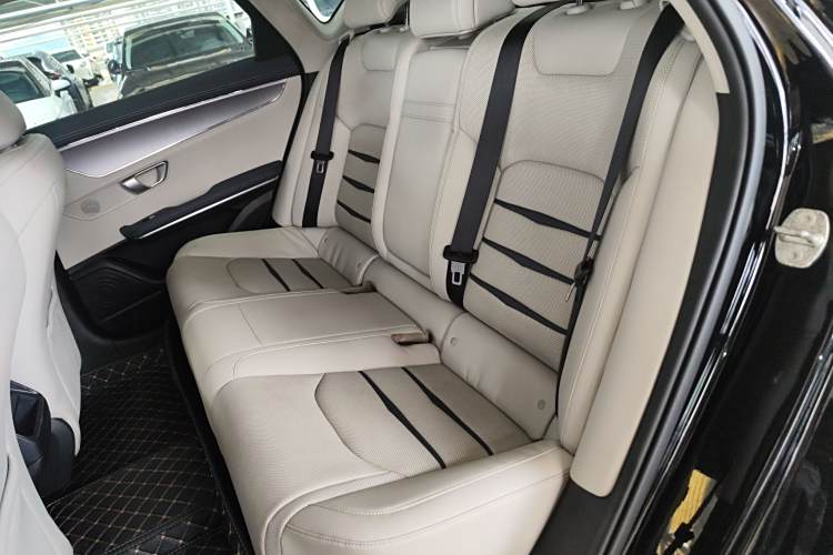 BYD e9 2021 car image #21