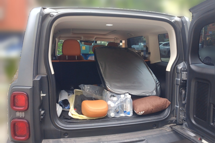 Haval Raptor 2024 immagine di auto #21