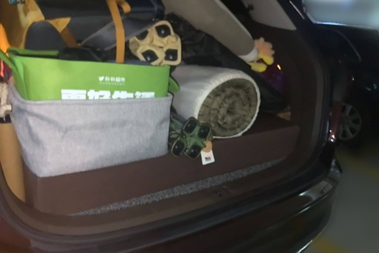 Volkswagen Viloran 2021 car image #21