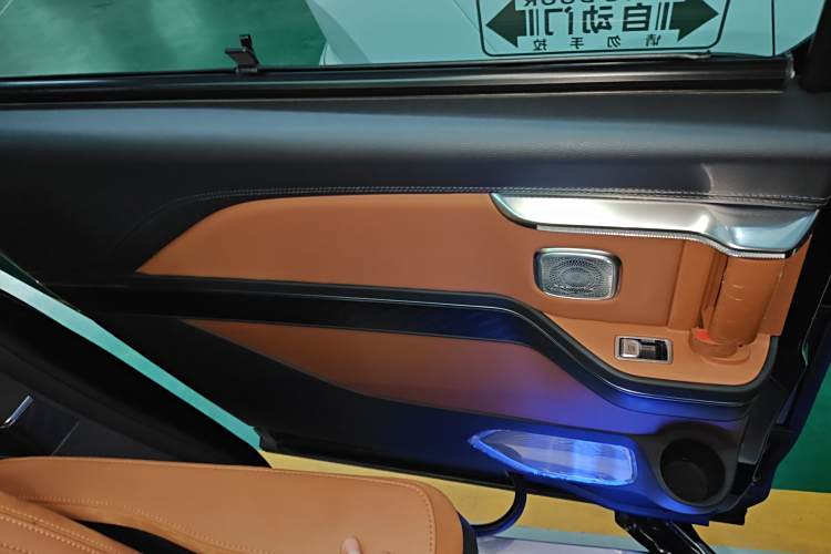 HongQi HQ9 PHEV 2024 immagine di auto #21