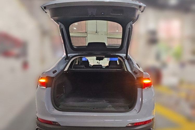 GEELY Tugella S 2021 car image #21