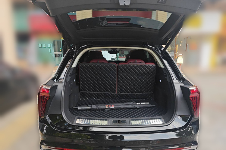 HongQi E-HS9 2022 car image #21