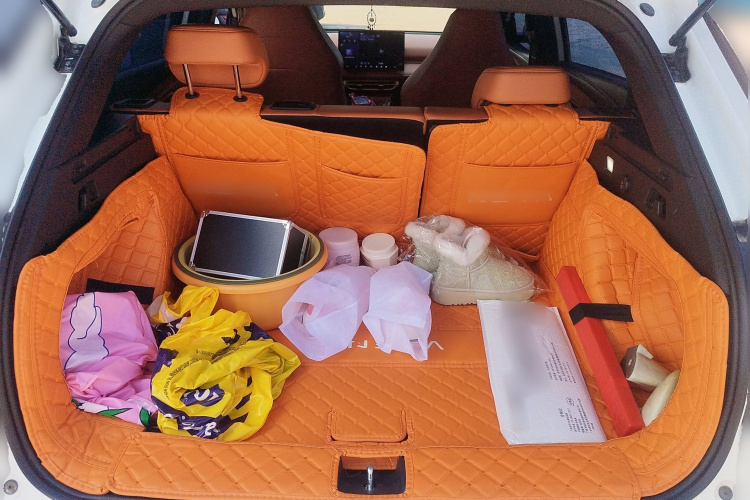 哪吒汽车 哪吒X 2024 汽车图片 #21