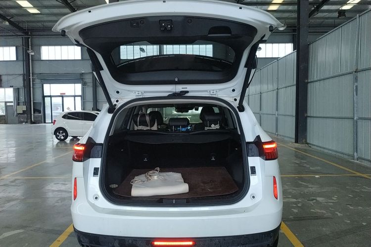 Haval H6 2022 immagine di auto #21