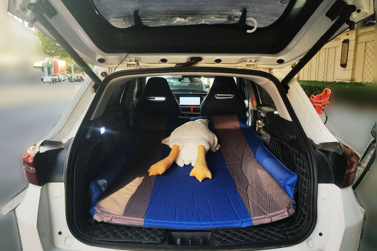 Exceed Chasing Wind C-DM 2023 صورة سيارة #21