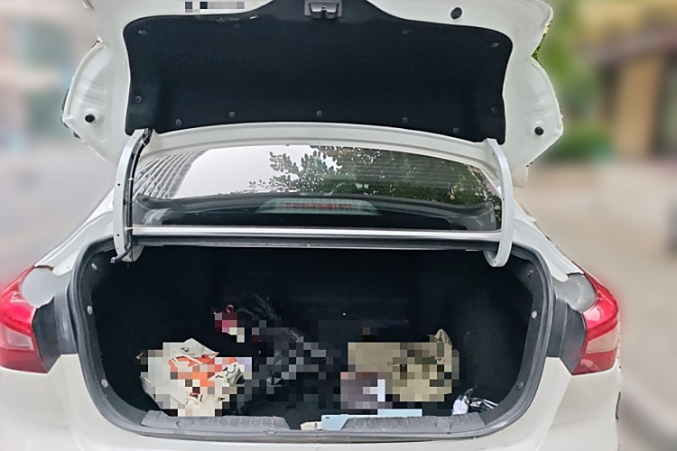 Changan Eado EV 2021 car image #21