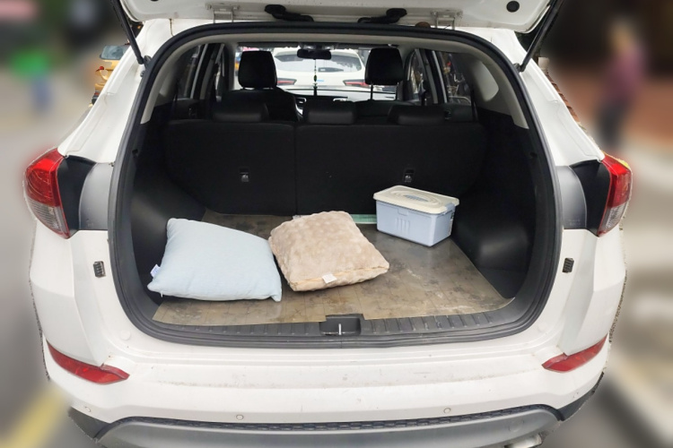 Hyundai Tucson (Imported) 2018 #21 Hyundai Tucson (Imported) 2018 immagine di auto #21