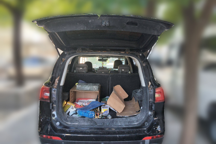 Forthing JOYEAR X5 2018 car image #21