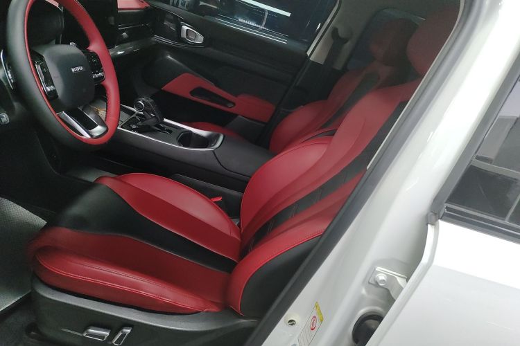 Haval Dargo 2023 car image #21