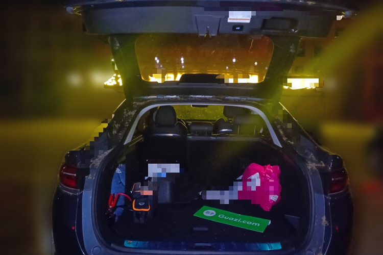 GEELY Tugella New Energy 2019 car image #21