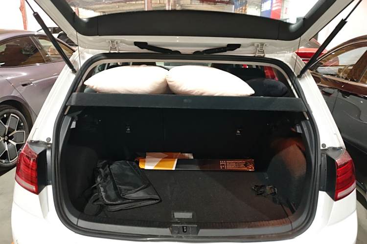 Volkswagen Golf Pure Electric 2020 car image #21