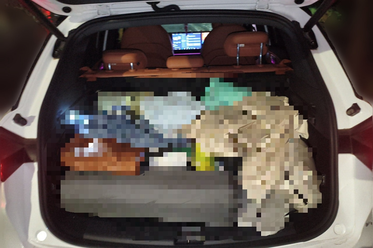 Neta L 2024 imagen de coche #21