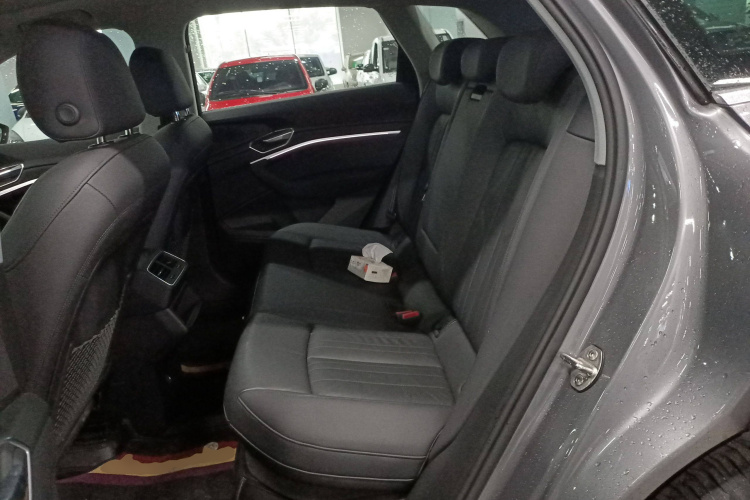 Audi e-tron (Imported) 2020 car image #21