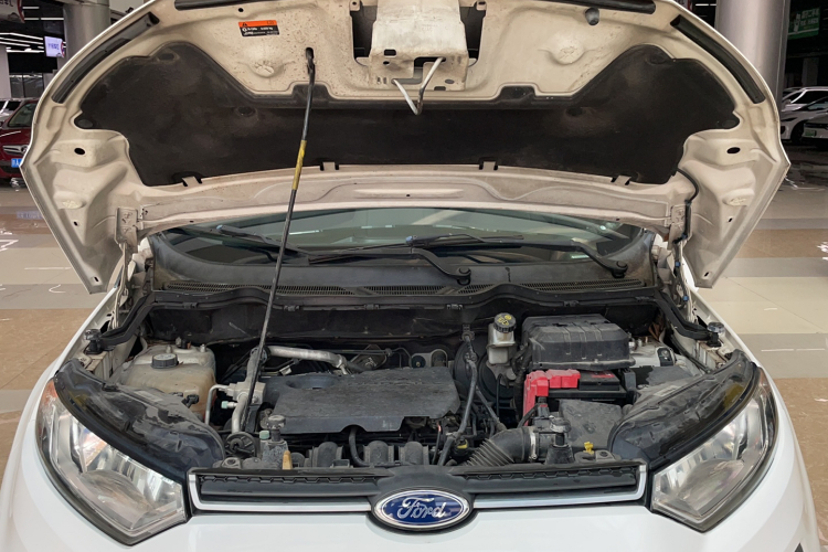 Ford EcoSport 2014 изображение автомобиля #21