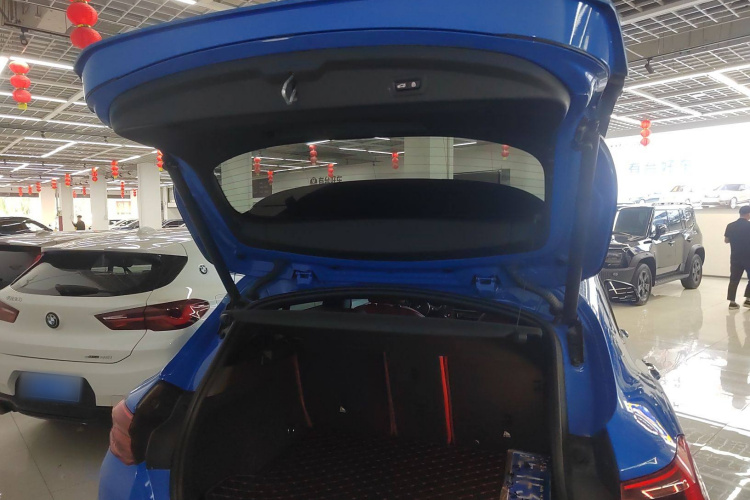 BMW X2 (Imported) 2019 car image #21