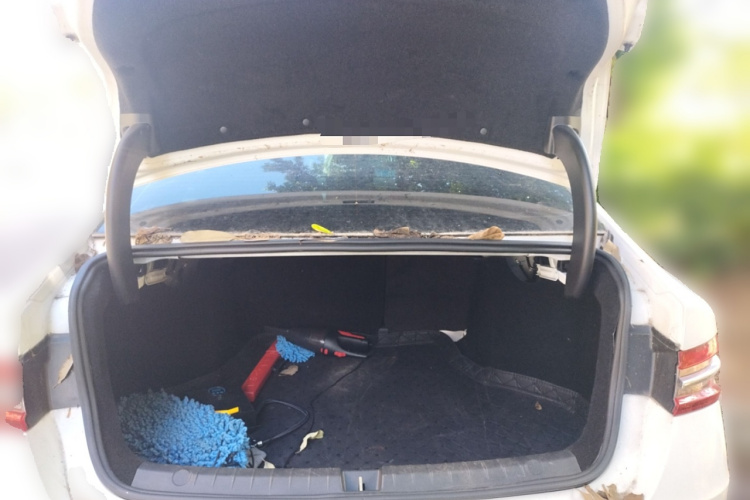 BYD Qin Pro 2019 car image #21