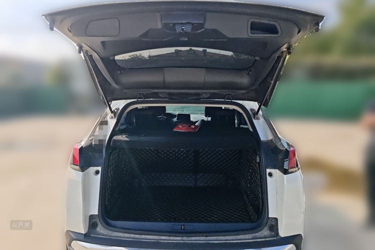 标致 标致4008 2019 汽车图片 #21