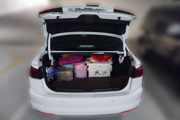 Volkswagen Bora Pure Electric 2021 صورة سيارة #21