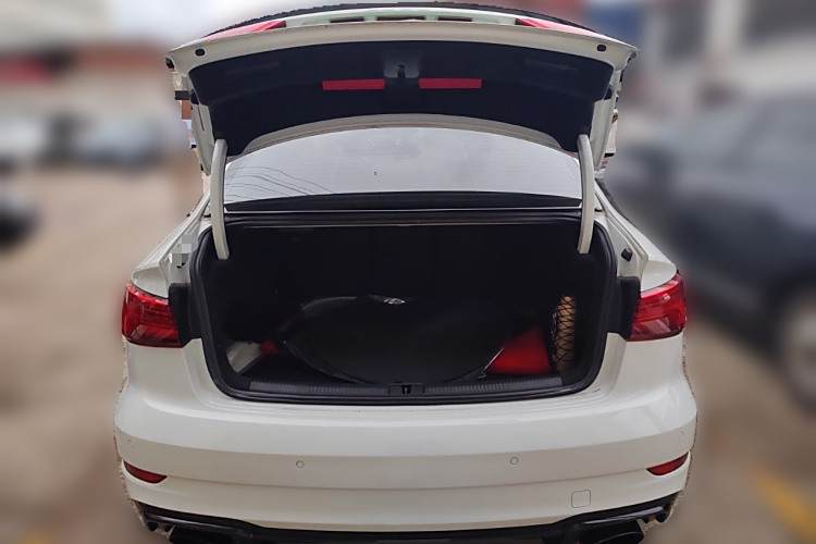 Audi RS 3 2018 car image #21