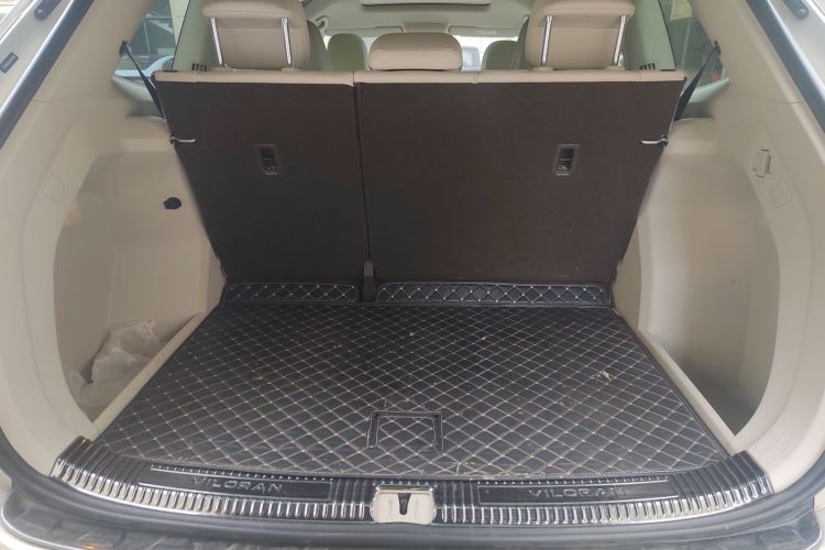 Volkswagen Viloran 2020 car image #21