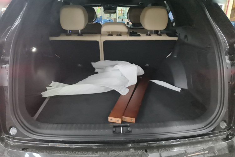 GEELY Tugella 2024 car image #21