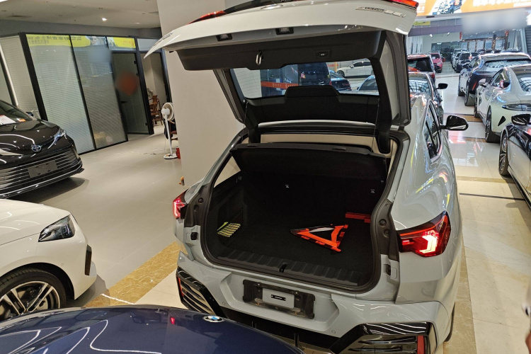 BMW X2 (Imported) 2024 imagen de coche #21