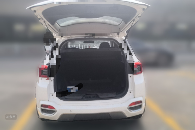 Tiggo 5x 2018 car image #21