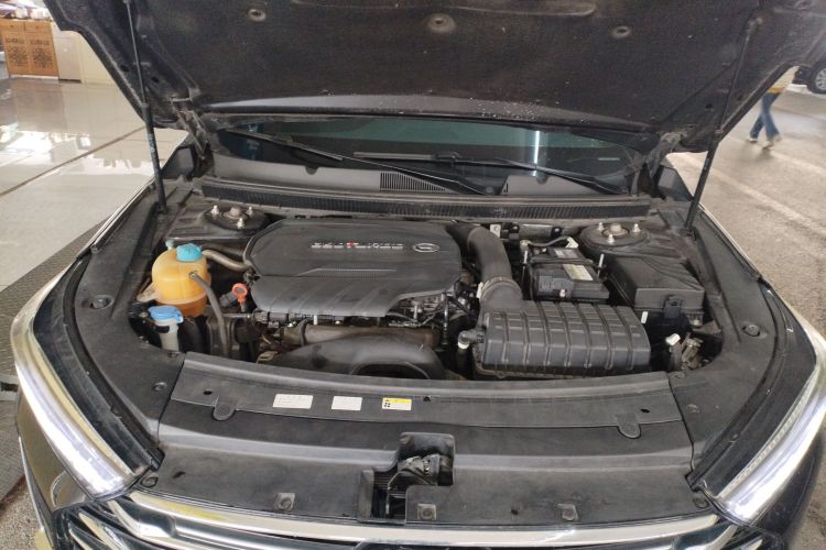 GAC Trumpchi GA8 2020 car image #21