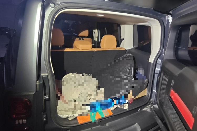 Haval Raptor 2024 car image #21