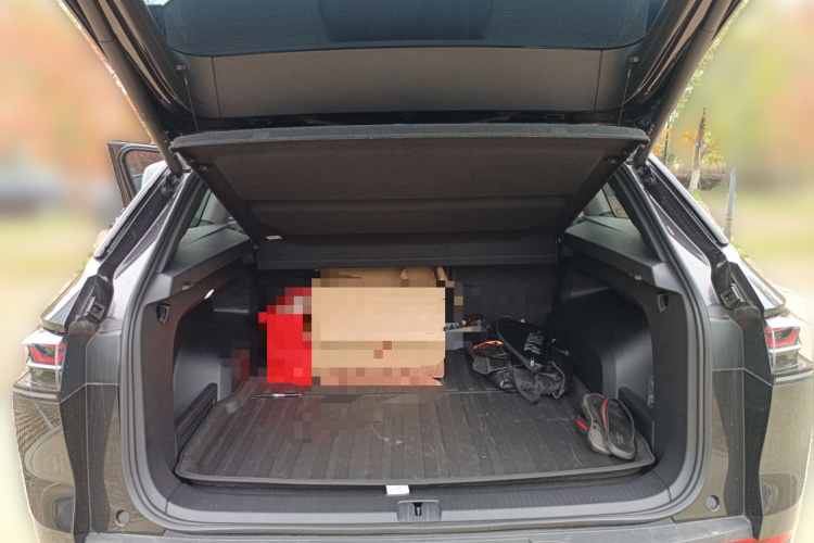 Volkswagen Tavendor 2024 car image #21