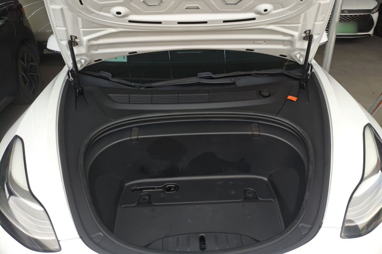 特斯拉 Model 3(进口) 2019 汽车图片 #21