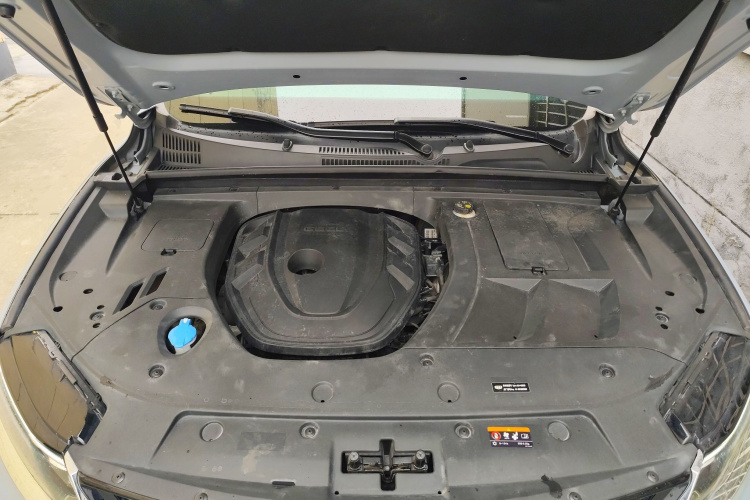 GEELY Tugella S 2022 car image #21