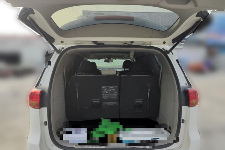 Kia Carnival (Imported) 2016 car image #21