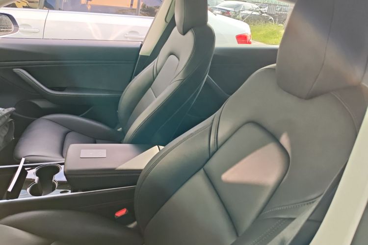 特斯拉 Model 3(进口) 2019 汽车图片 #21