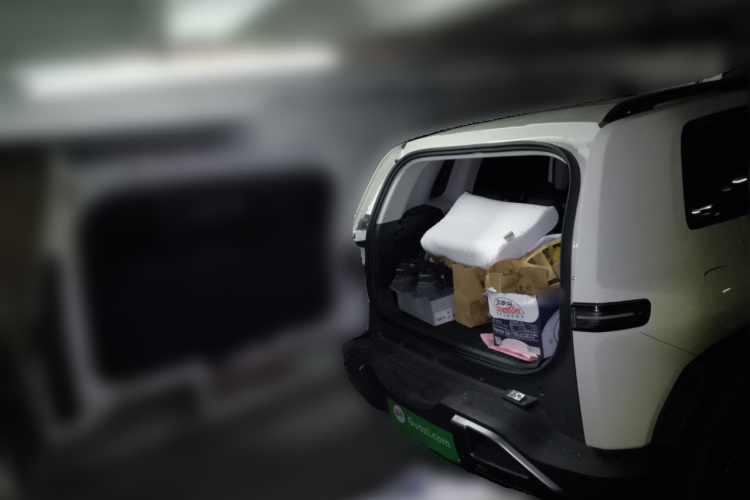 FangChengBao Tiger 3 2025 car image #21