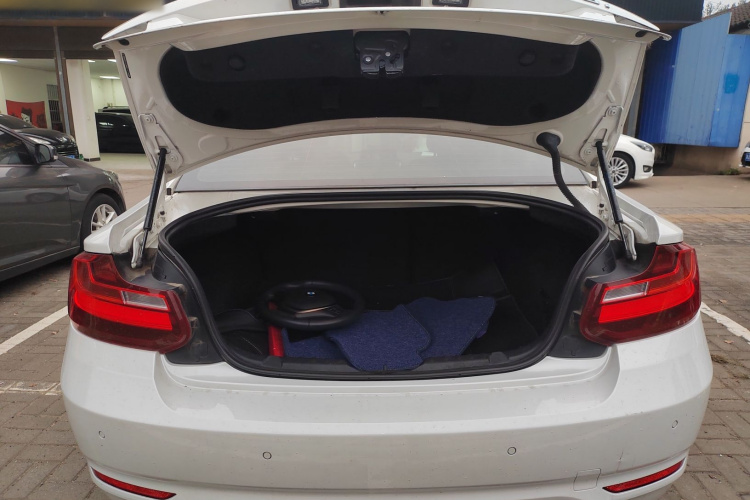 BMW 2 Series (Imported) 2016 car image #21