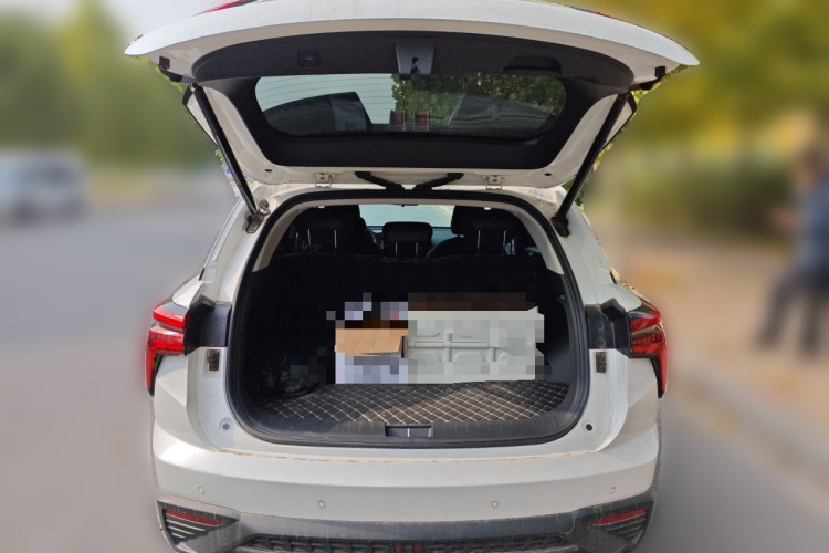 Haval Fierce Dragon 2024 car image #21