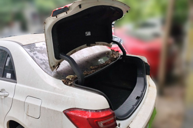 BYD Qin New Energy 2018 car image #21