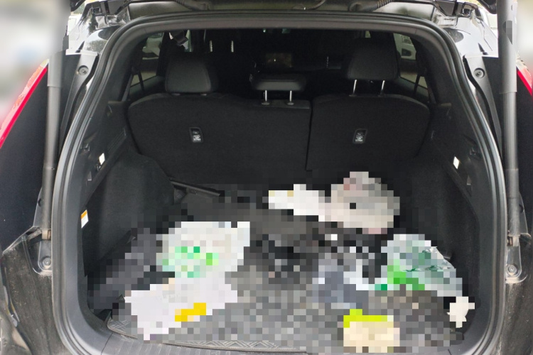 Honda CR-V New Energy 2024 car image #21