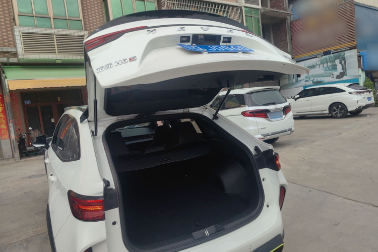 Haval H6S 2022 immagine di auto #21