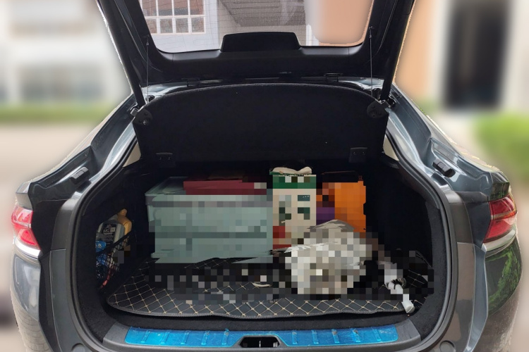 GEELY Tugella New Energy 2019 car image #21