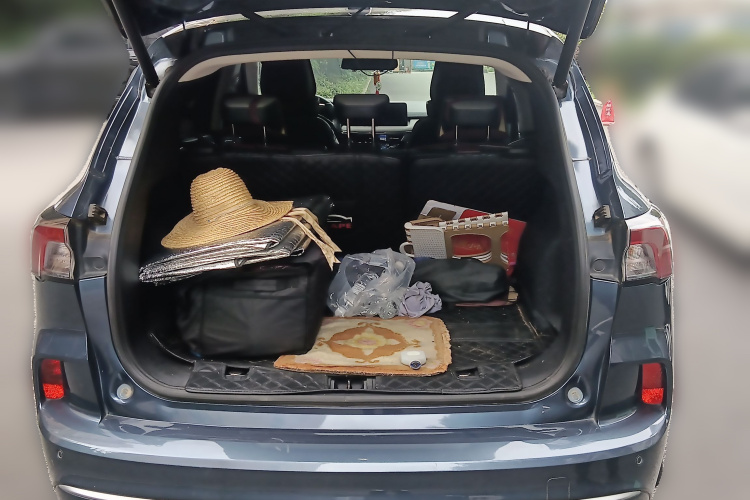 Ford Escape (Imported) 2020 #21 Ford Escape (Imported) 2020 car image #21