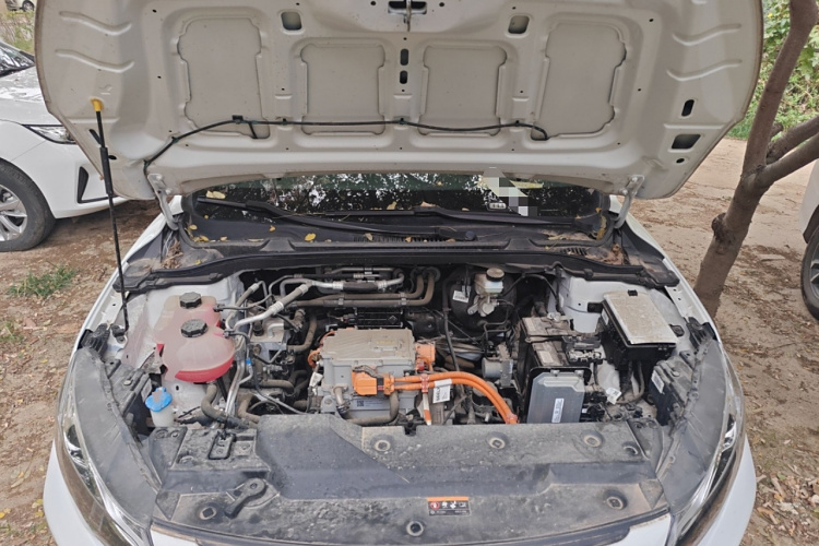 睿蓝汽车 枫叶60s 2023 汽车图片 #21